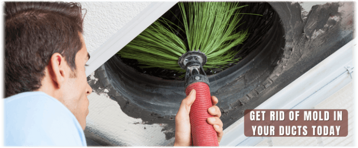 Air Duct Mold Removal in Chicago
