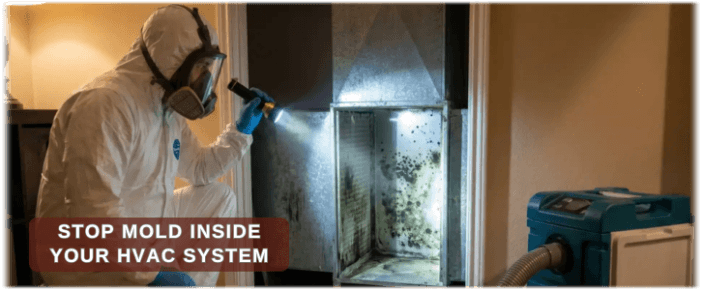 HVAC Mold Removal Chicago